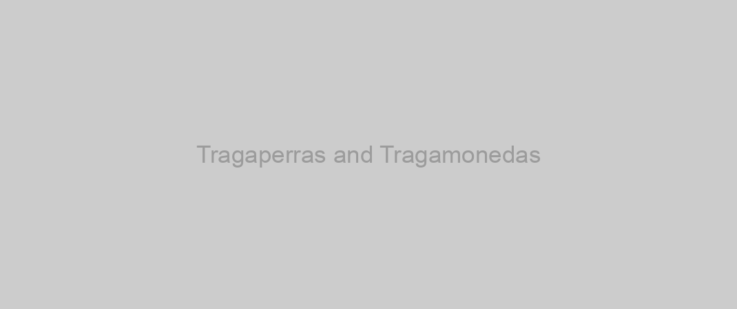 Tragaperras and Tragamonedas